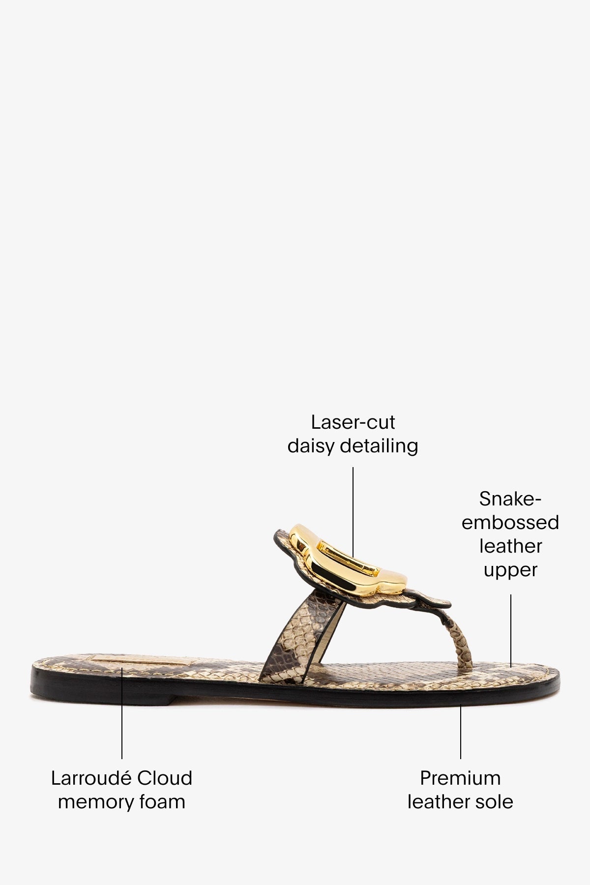 Larroude Margherita Thong Sandal in Neutral Snake Leather and Gold Hardware