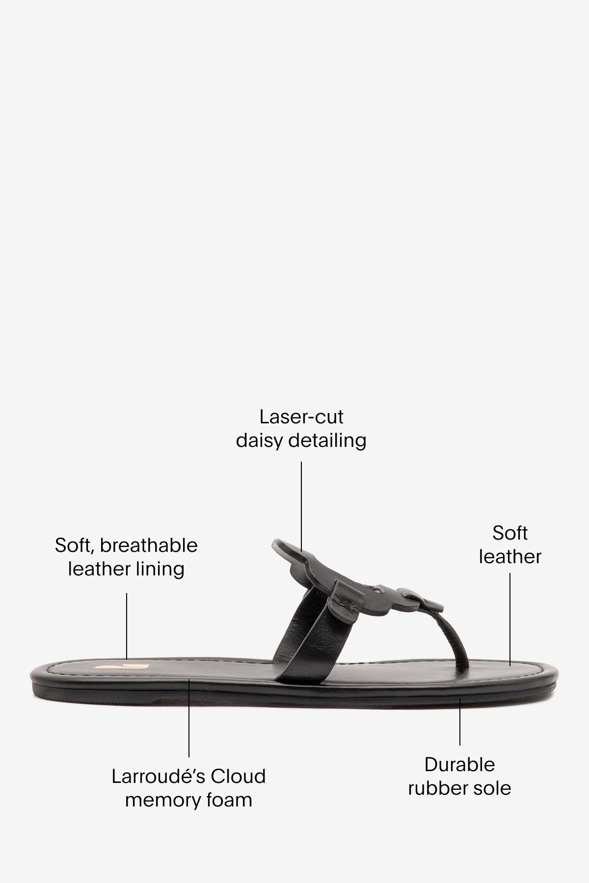 Larroude Margherita Thong Sandal In Black Leather