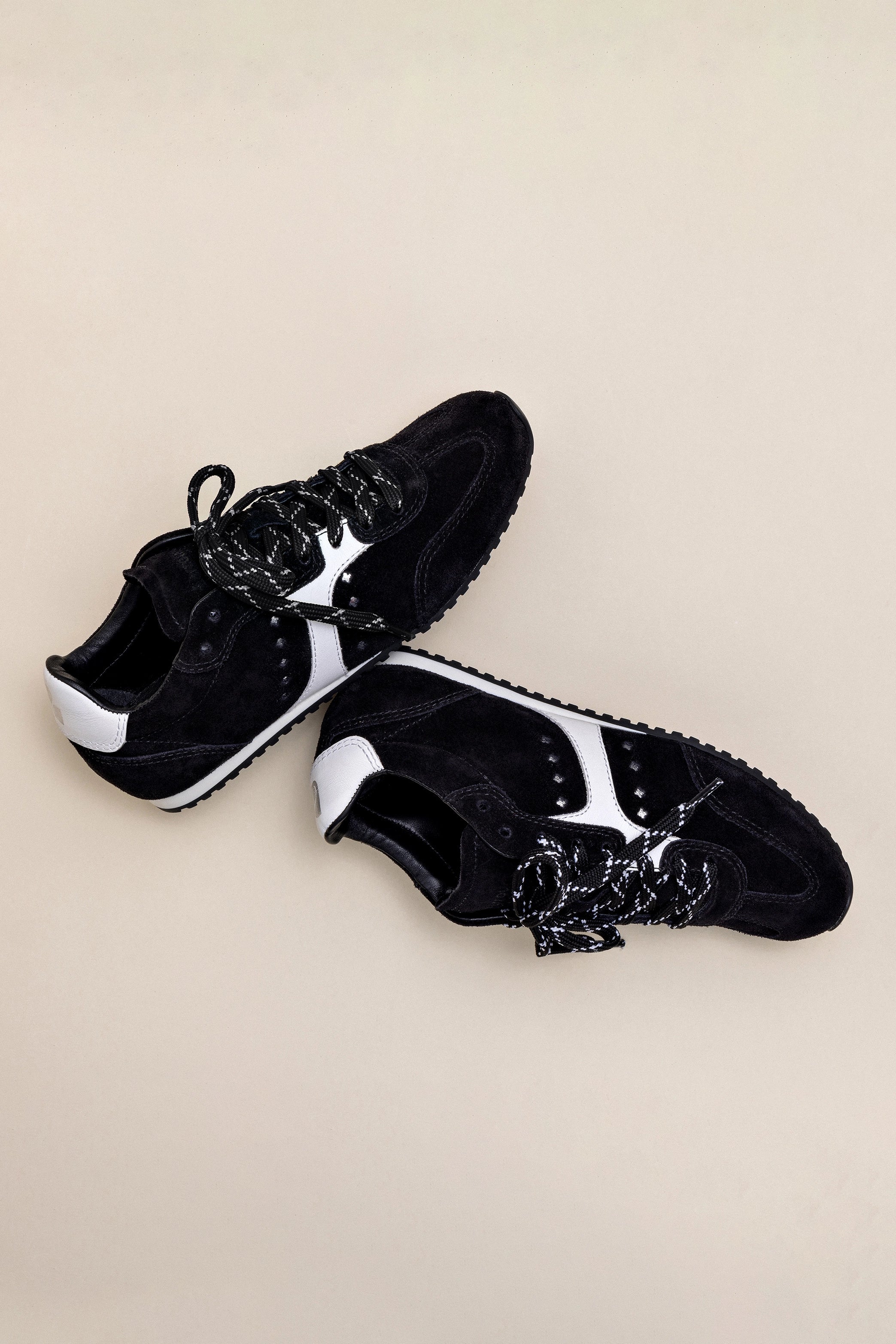 Larroude Stella Sneaker In Black Suede