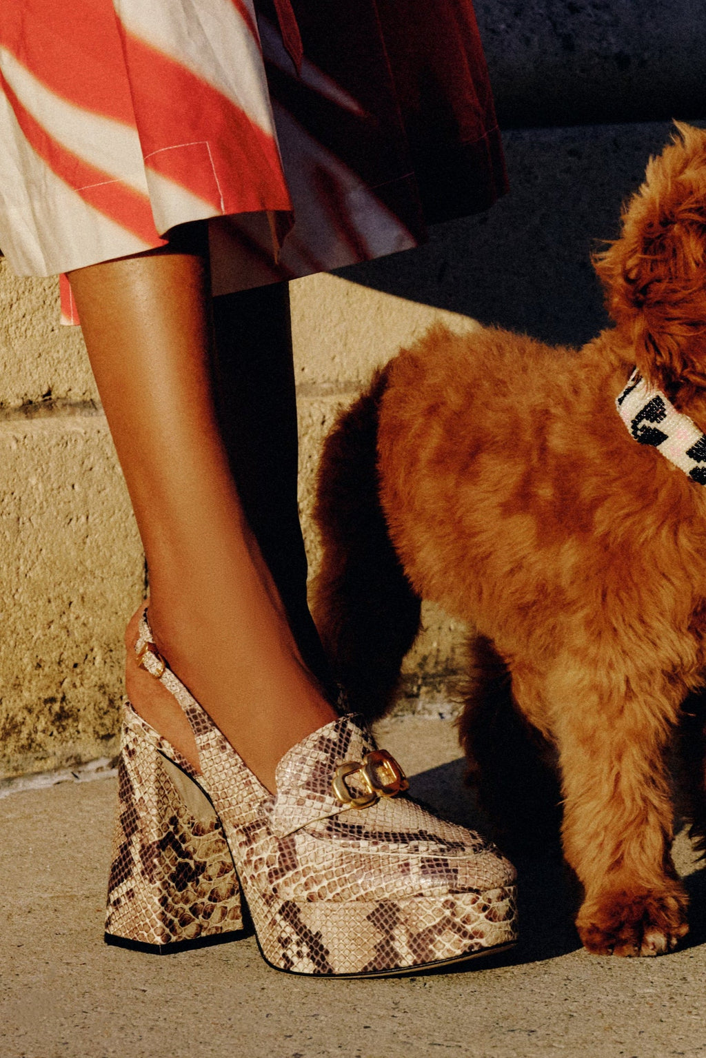 Larroude Harrington Loafer Hi In Neutral Snake Stamped Leather