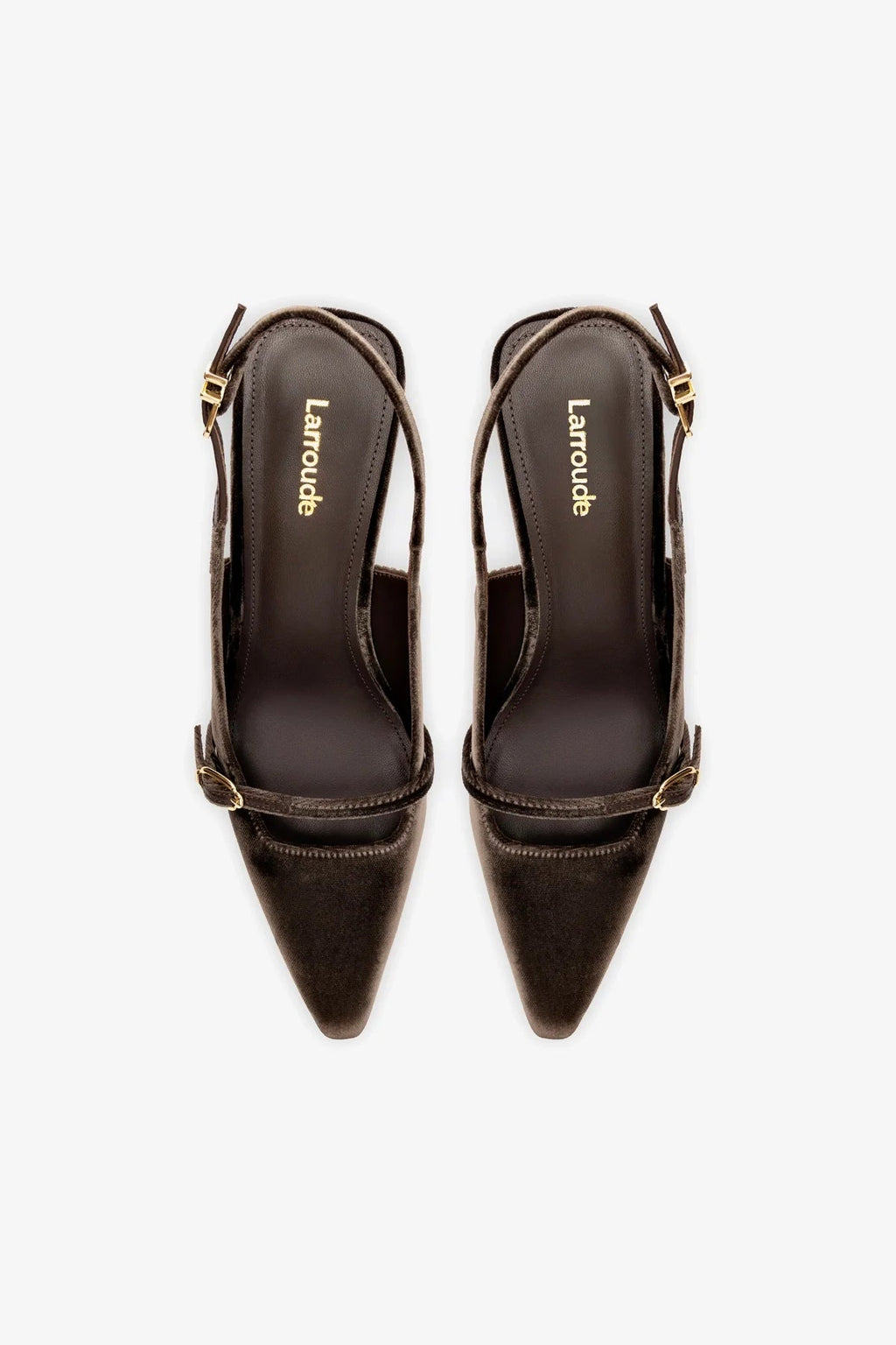 Larroude Ines Pump In Expresso Velvet