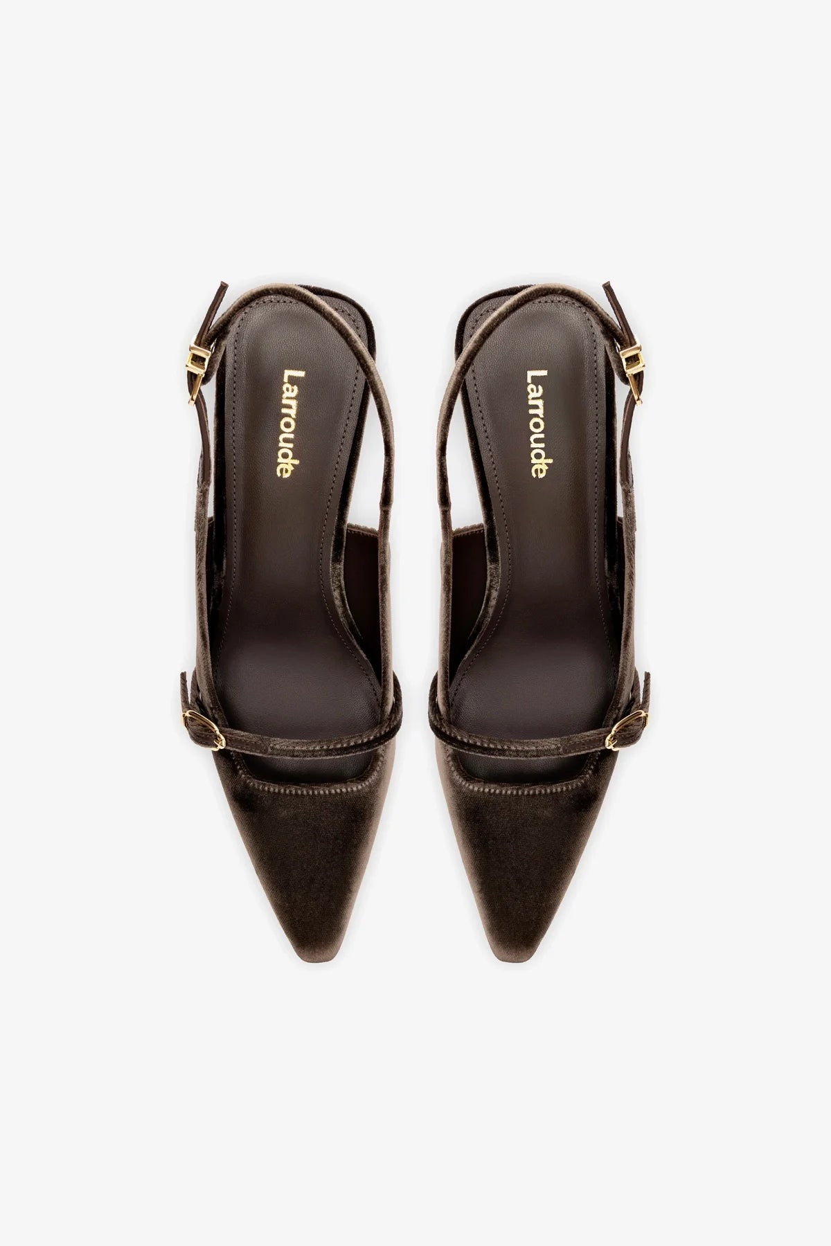Larroude Ines Pump In Expresso Velvet